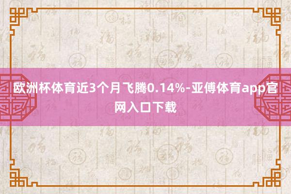 欧洲杯体育近3个月飞腾0.14%-亚傅体育app官网入口下载