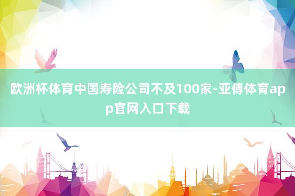 欧洲杯体育中国寿险公司不及100家-亚傅体育app官网入口下载