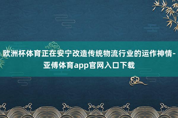 欧洲杯体育正在安宁改造传统物流行业的运作神情-亚傅体育app官网入口下载