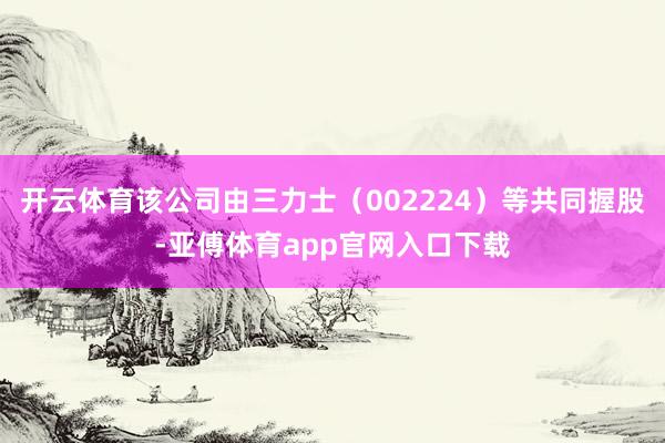 开云体育该公司由三力士（002224）等共同握股-亚傅体育app官网入口下载