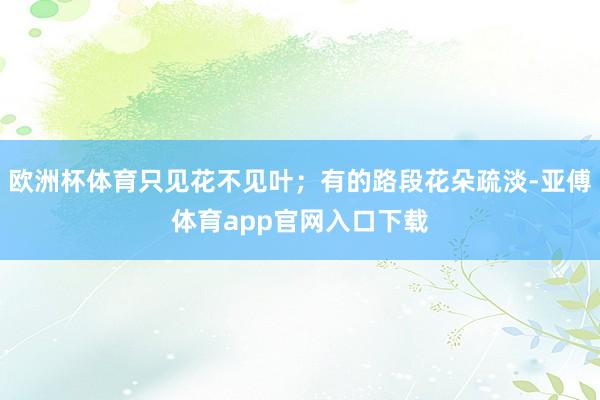 欧洲杯体育只见花不见叶；有的路段花朵疏淡-亚傅体育app官网入口下载