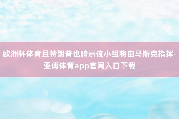 欧洲杯体育且特朗普也暗示该小组将由马斯克指挥-亚傅体育app官网入口下载