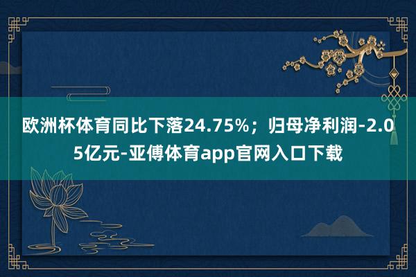 欧洲杯体育同比下落24.75%；归母净利润-2.05亿元-亚傅体育app官网入口下载