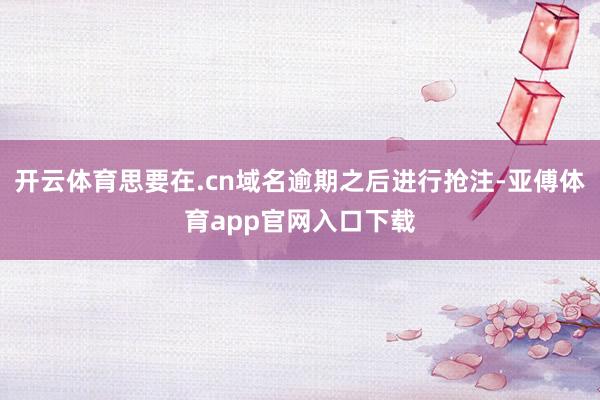 开云体育思要在.cn域名逾期之后进行抢注-亚傅体育app官网入口下载