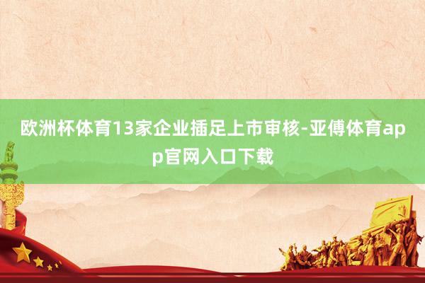 欧洲杯体育13家企业插足上市审核-亚傅体育app官网入口下载