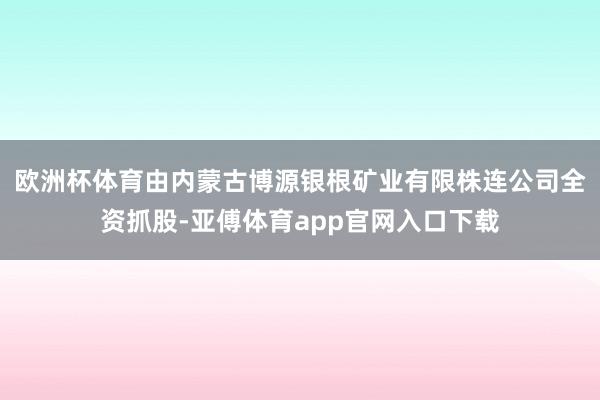 欧洲杯体育由内蒙古博源银根矿业有限株连公司全资抓股-亚傅体育app官网入口下载