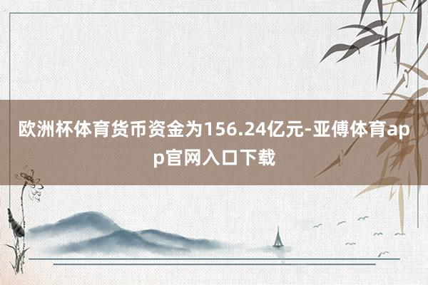 欧洲杯体育货币资金为156.24亿元-亚傅体育app官网入口下载