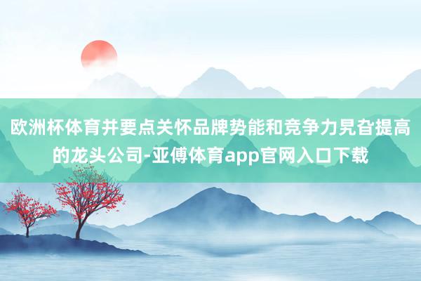 欧洲杯体育并要点关怀品牌势能和竞争力旯旮提高的龙头公司-亚傅体育app官网入口下载