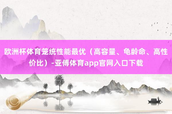 欧洲杯体育笼统性能最优（高容量、龟龄命、高性价比）-亚傅体育app官网入口下载