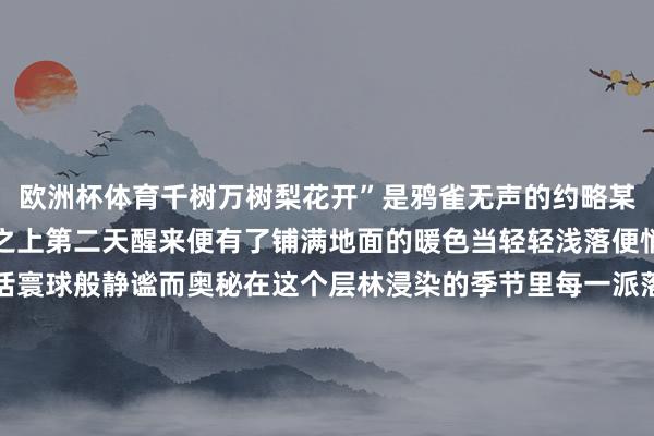 欧洲杯体育千树万树梨花开”是鸦雀无声的约略某天夜里落满檐角、草叶之上第二天醒来便有了铺满地面的暖色当轻轻浅落便悄然换上了盛装宛如童话寰球般静谧而奥秘在这个层林浸染的季节里每一派落叶都像是大当然的赠给每一缕阳光穿透树梢洒下斑驳光影仿佛为地面披上一层金色的薄纱扫数寰球仿佛都被点亮了那微光精明的片刻心灵也随之净化仿佛跻身于一个金兰之契的虚幻那片片银杏雕梁画栋沉稳飘落将岁月的陈迹轻轻掩埋耳畔是风声默读心中却是暖意融融每刹那都值得谨记每一景都令东谈主沉湎深冬已是手艺等候一场与冬景的相逢在极致的轻松里碰见最地谈的好意思好照相：李勇、余俊伯等 发布于：北京市-亚傅体育app官网入口下载