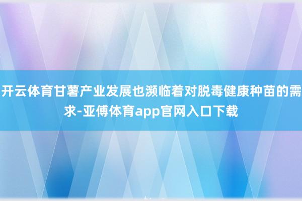 开云体育甘薯产业发展也濒临着对脱毒健康种苗的需求-亚傅体育app官网入口下载