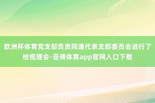 欧洲杯体育党支部负责同道代表支部委员会进行了检视理会-亚傅体育app官网入口下载