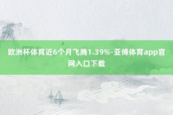 欧洲杯体育近6个月飞腾1.39%-亚傅体育app官网入口下载