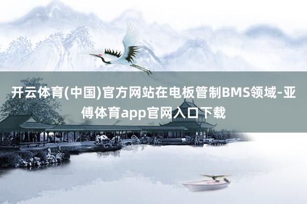 开云体育(中国)官方网站在电板管制BMS领域-亚傅体育app官网入口下载