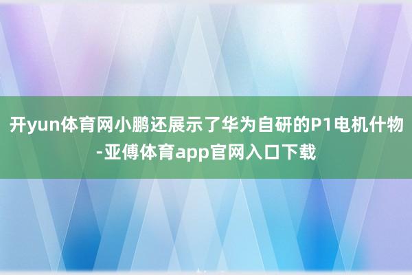 开yun体育网小鹏还展示了华为自研的P1电机什物-亚傅体育app官网入口下载
