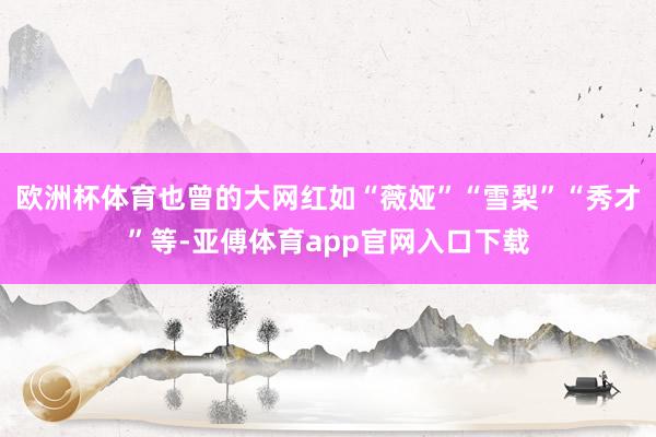 欧洲杯体育也曾的大网红如“薇娅”“雪梨”“秀才”等-亚傅体育app官网入口下载